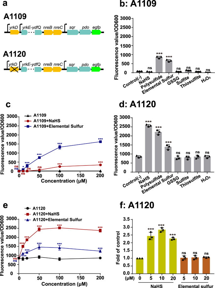 Fig. 6: The inducers of YrkD and NreBC.