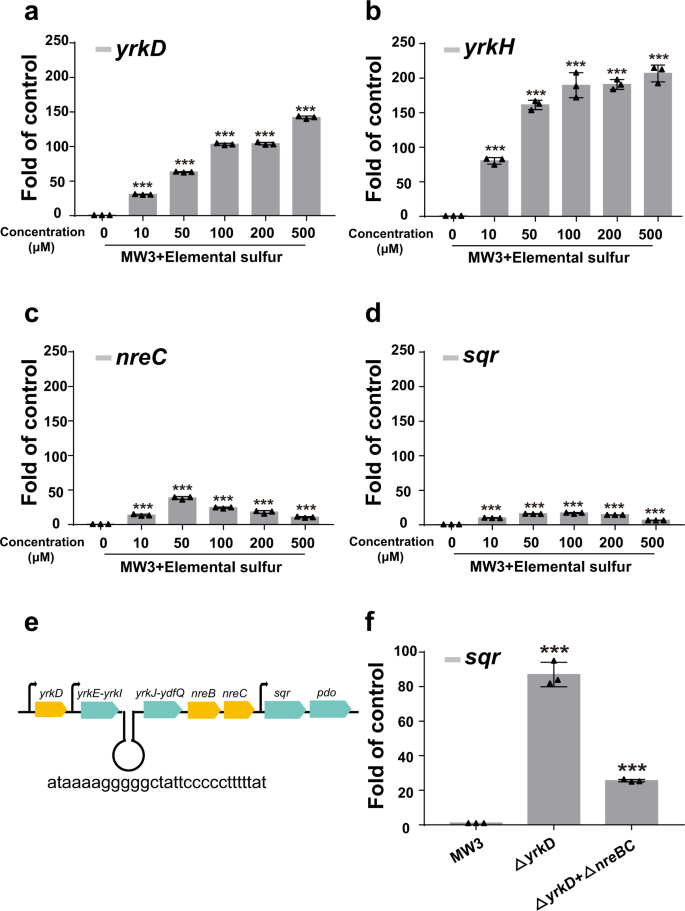 Fig. 8: The transcription level of indicated genes in MW3 and its mutants (ΔyrkD and ΔyrkDΔnreBC).
