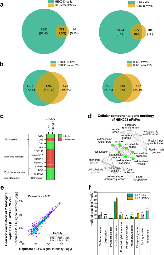 Fig. 3: Proteomic analysis of nPMVs, donor cells, and native EVs, reproducibility of nPMV proteome, and lipidomics of Huh7 nPMVs and donor cells.