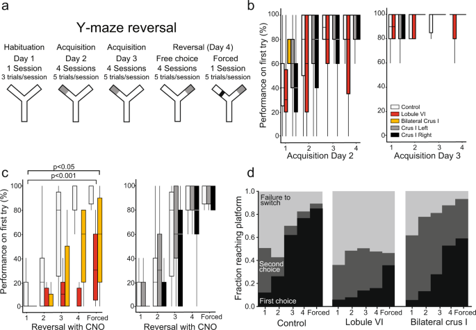 Fig. 2: Effect of lobule VI and crus I inactivation on behavior.
