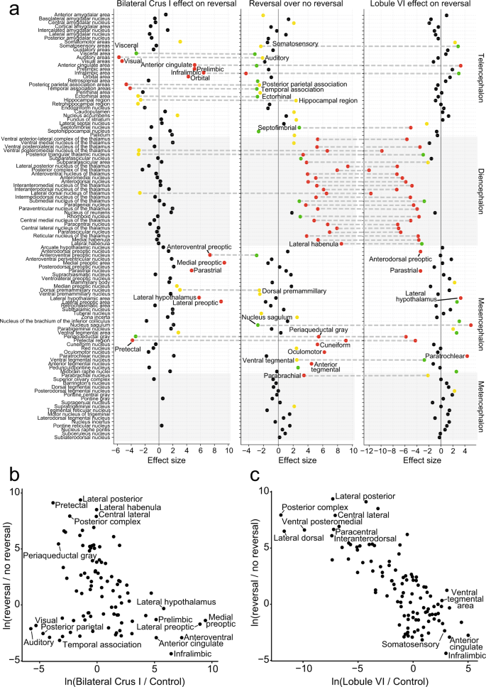 Fig. 5: Brain-wide association study (BWAS) to identify activated regions of c-Fos expression.