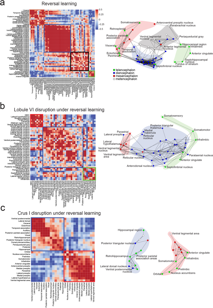 Fig. 6: Cerebellar influence on Y-maze reversal networks.