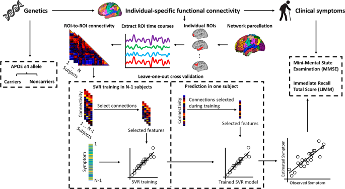 Fig. 1: Procedure of estimating symptom scores in elderly people with/without APOE ε4 allele using functional connectivity among individually-specified ROIs.