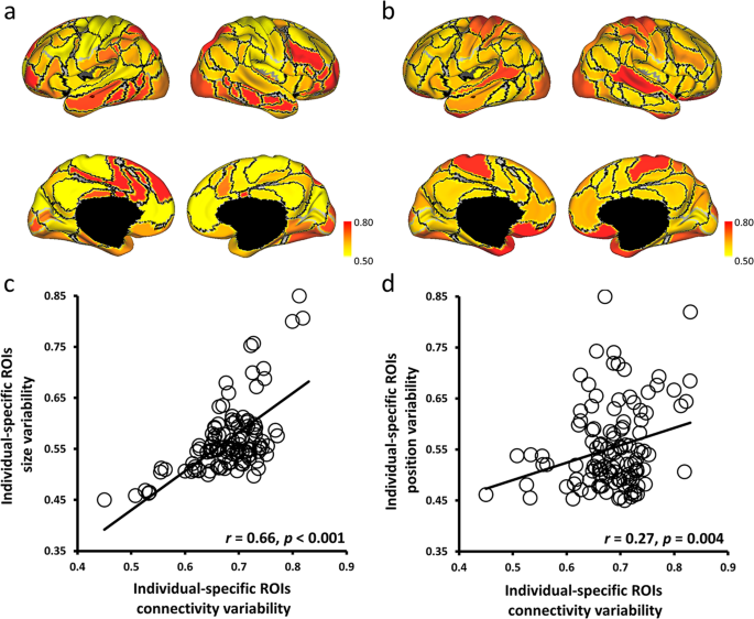 Fig. 3: Individual variability in individual-specific ROI connectivity was significantly associated with individual variability in the size and position of the functional regions.