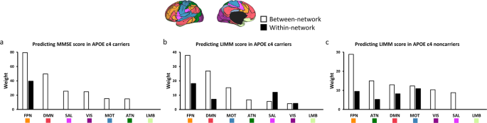 Fig. 7: Between-network connectivity plays an essential role in predicting MMSE symptoms in APOE ε4 carriers and LIMM symptoms in APOE ε4 carriers and APOE ε4 noncarriers.