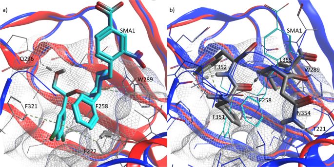 Fig. 3: Comparison of the binding of SMA1 vs. trans-switch helix binding at the CNB-B nest.