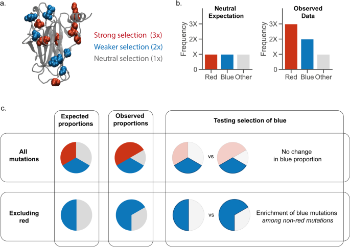 Fig. 1: Detecting multiple selected mutation features.