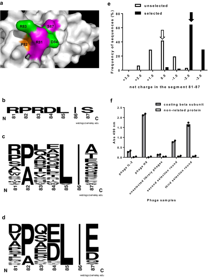 Fig. 2: Phage selection from the secondary library S1.