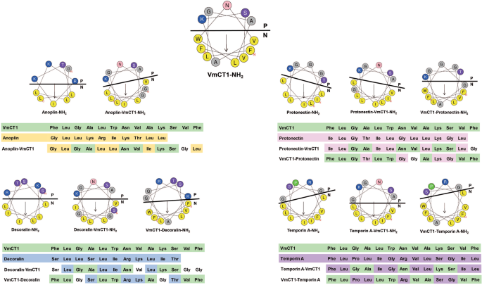 Fig. 2: Hybrid peptide design.