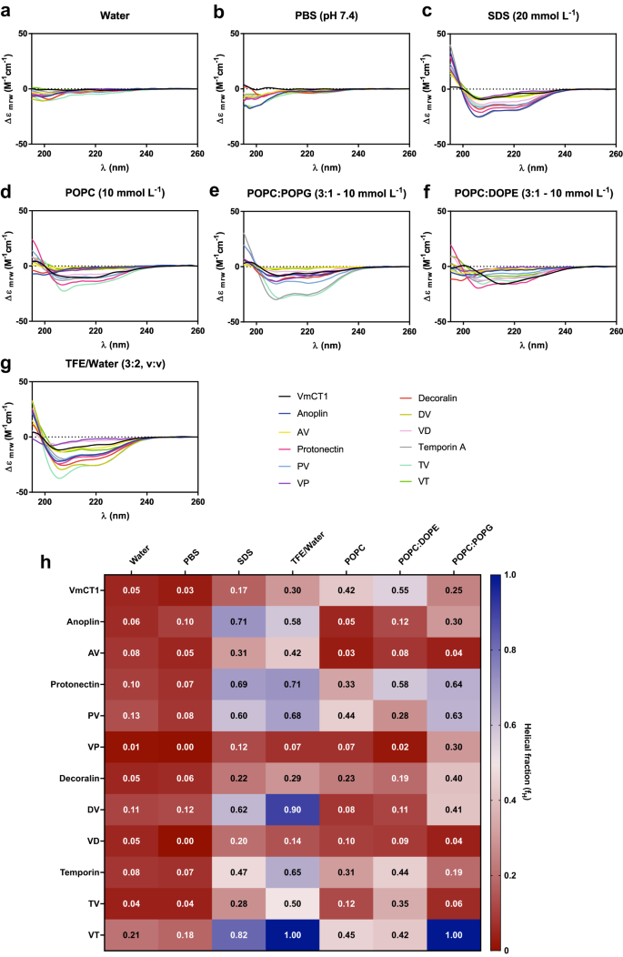 Fig. 4: Structural analysis of hAMPs.