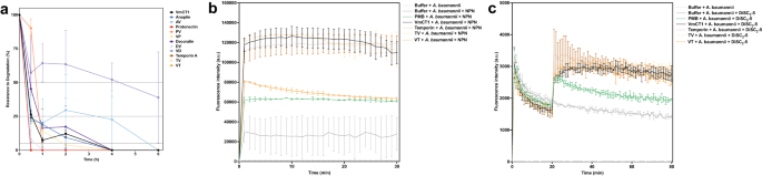 Fig. 5: Resistance to enzymatic degradation and mechanism of action of hAMPs.