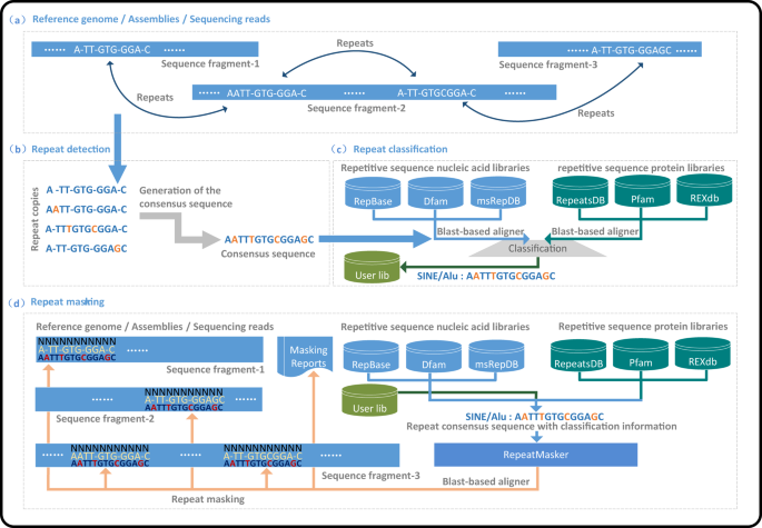 Fig. 5: The principle of automatic repeat classification and masking.