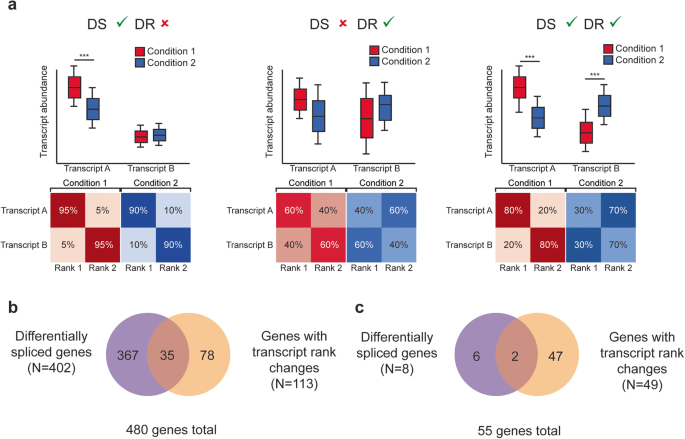 Fig. 3: Results of test for differentially ranked transcripts.