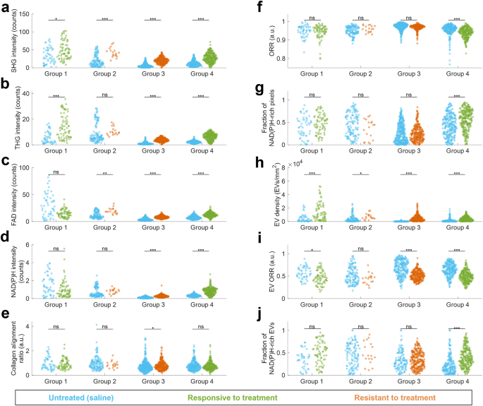 Fig. 3: Structural and functional analysis of PDAC tumor response to chemotherapy treatment for all groups.