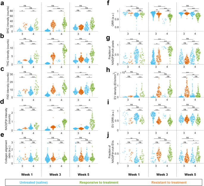 Fig. 4: Structural and functional analysis of PDAC tumor response to chemotherapy treatment for responsive (group 4) and resistant (group 3) over five weeks of treatment.