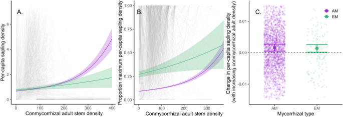 Fig. 3: AM tree species benefit from shared mycorrhizal fungi.