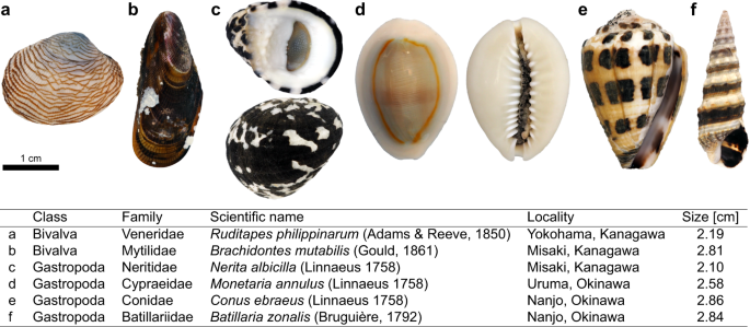 Fig. 1: Overview of species imaged.