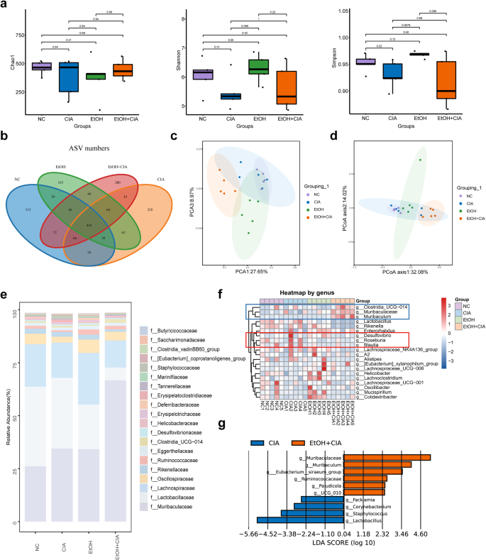 Fig. 4: Ethanol alters the gut microbiota of CIA mice.