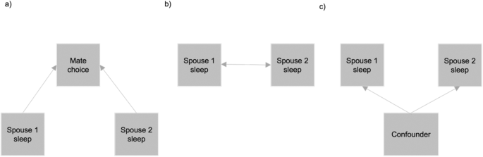 Fig. 1: Scenarios for spousal concordance of sleep traits.
