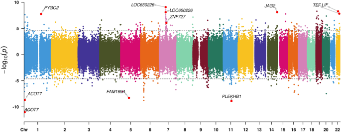 Fig. 1: Bi-direction Miami plot showing associations between DNA methylation and birth order.