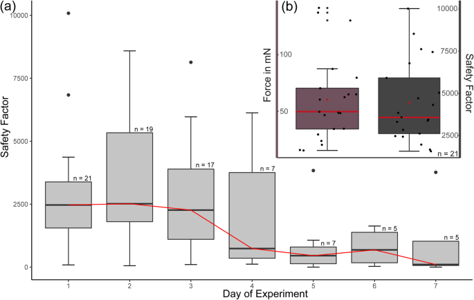 Fig. 4: Attachment forces of E. horridus on the seal fur.