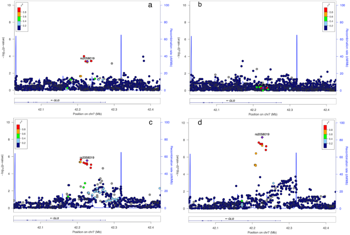 Fig. 2: Regional association plots of top genome-wide significant SNP rs2058019 (GLI3 gene) among each ethnic group.