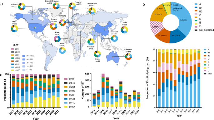 Fig. 2: The prevailing Sequence Types (STs) and phylogroups among 7918 CRECs exhibit global spatial and temporal patterns.