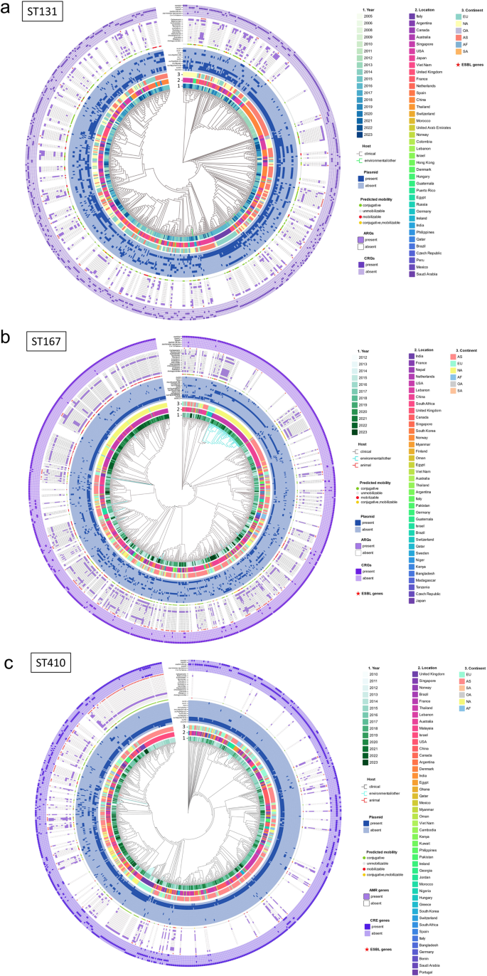Fig. 5: The circular diagram illustrates the phylogenetic tree of CRECs across five continents.