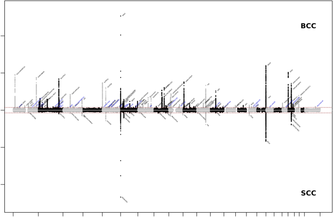 Fig. 3: Chicago plot of the European ancestry GWA meta-analyses of KC.
