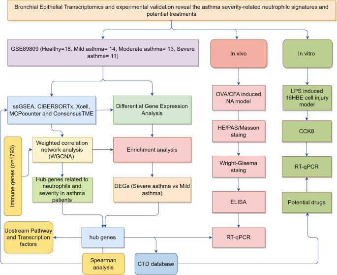 Fig. 1: Flowchart of the systematic approach.