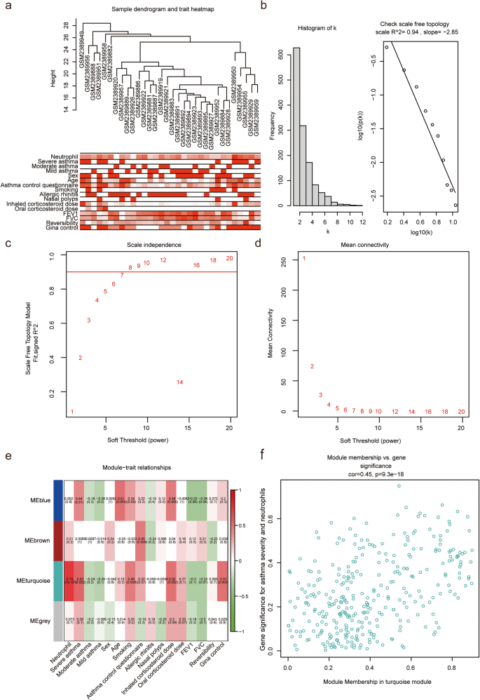 Fig. 4: Construction of weighted gene co-expression network.