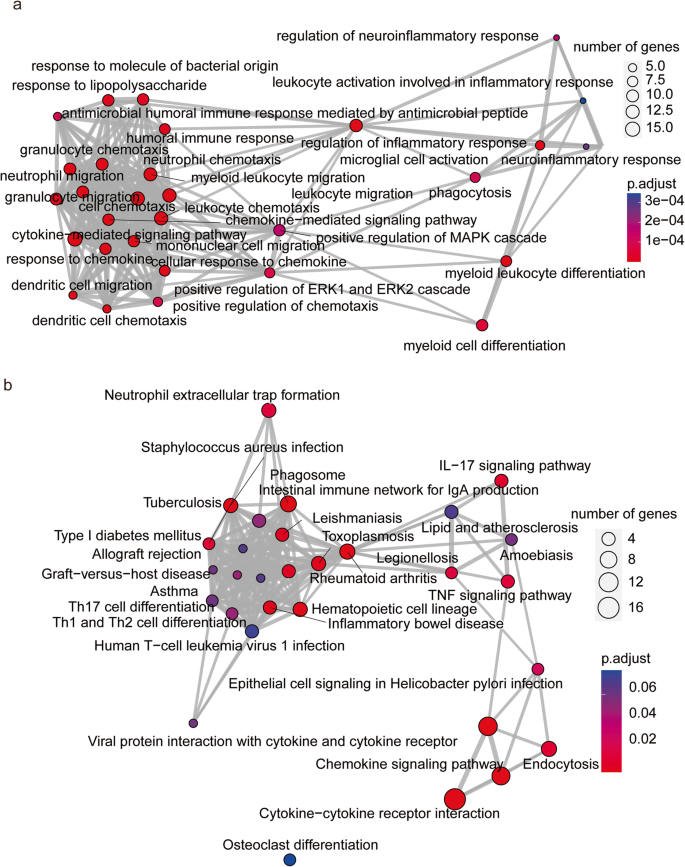 Fig. 6: Enrichment analysis of top 46 genes.