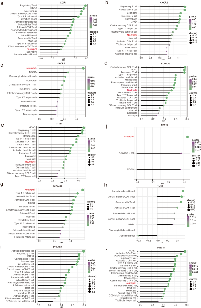 Fig. 8: Spearman correlation analysis between 28 immune cell types and 10 hub genes.