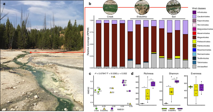 research papers on yellowstone national park figure 1