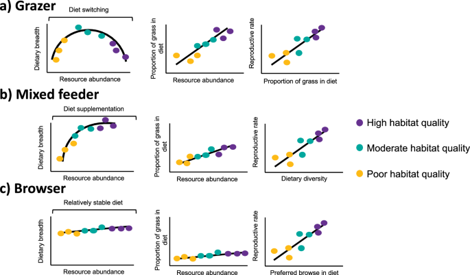 Fig. 1: Optimal foraging theory predictions for hypothetical large mammalian herbivores with different feeding strategies.