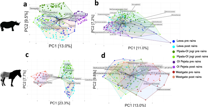 Fig. 3: Environmental variables drive differences in black rhino and Grevy’s zebra dietary and microbiome composition across an ecological gradient.