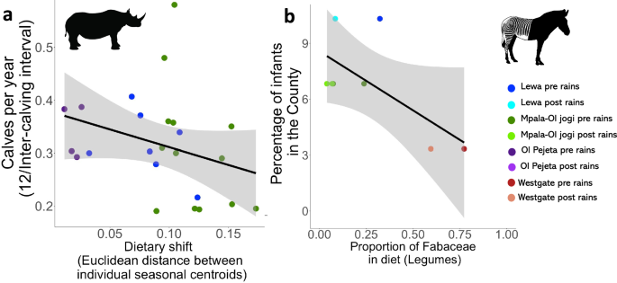 Fig. 7: Dietary switching is associated with female reproductive performance in black rhino, but there was no significant relationship between the mean relative abundance of Fabaceae in the diet and our measure of population performance in Grevy’s zebra.