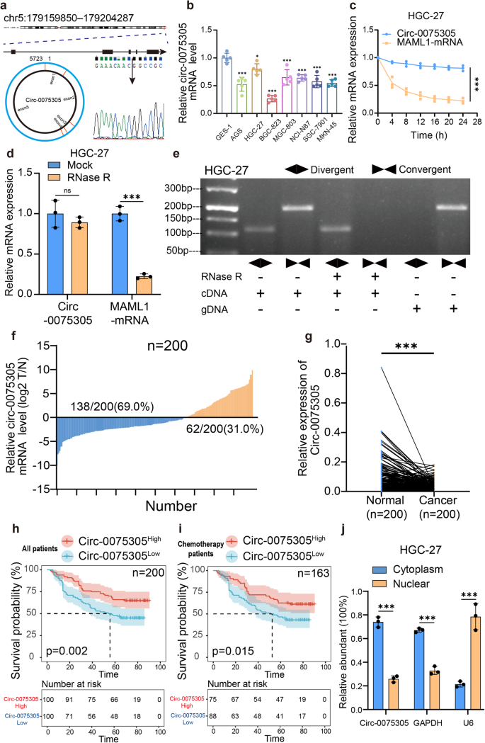 Fig. 1: Circ-007530 significantly downregulated in GC.