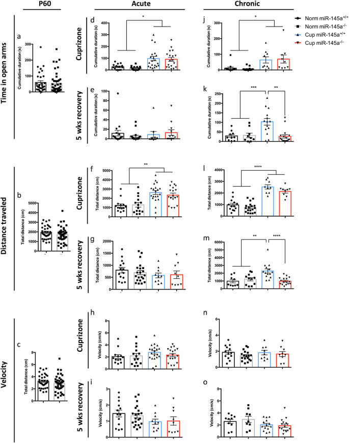 Fig. 6: Loss of miR-145 restores normal anxiogenic response after recovery from chronic cuprizone exposure.