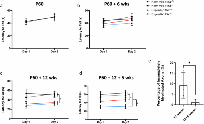 Fig. 7: Motor coordination deficit is partially restored with miR-145 loss following recovery from chronic cuprizone exposure.
