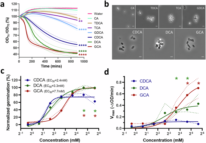 Fig. 1: C. septicum germinates robustly in the presence of bile salts.