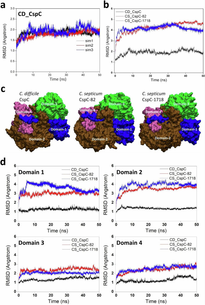 Fig. 5: Molecular Dynamics Simulation.