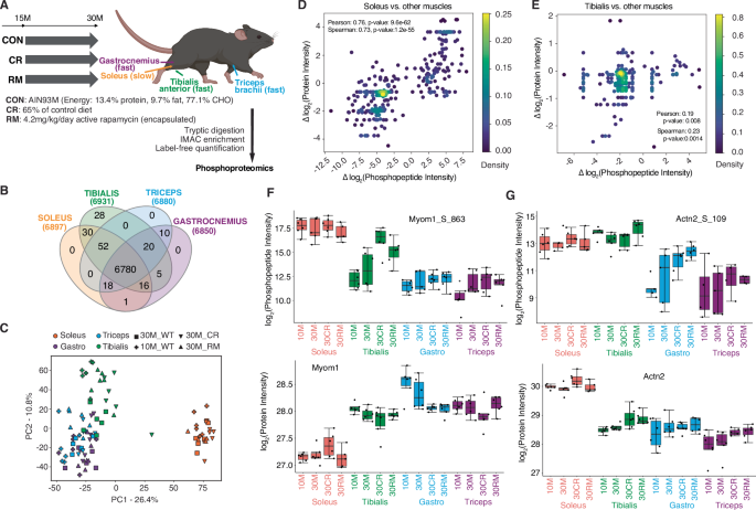 Fig. 1: Overview of the phosphoproteome data.