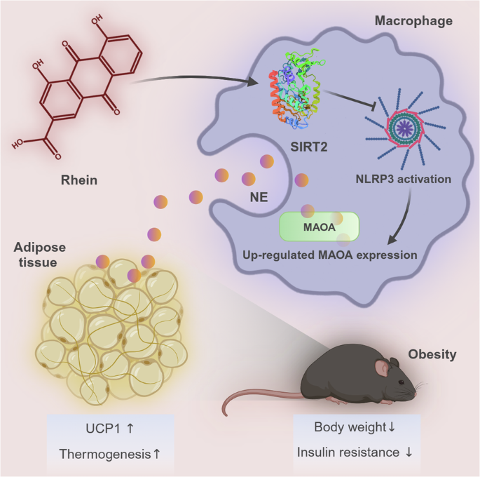 Fig. 8: Graph summary.