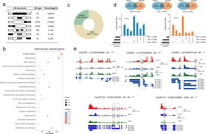 Fig. 7: Gene regulation among different tissues in C. sinicum.