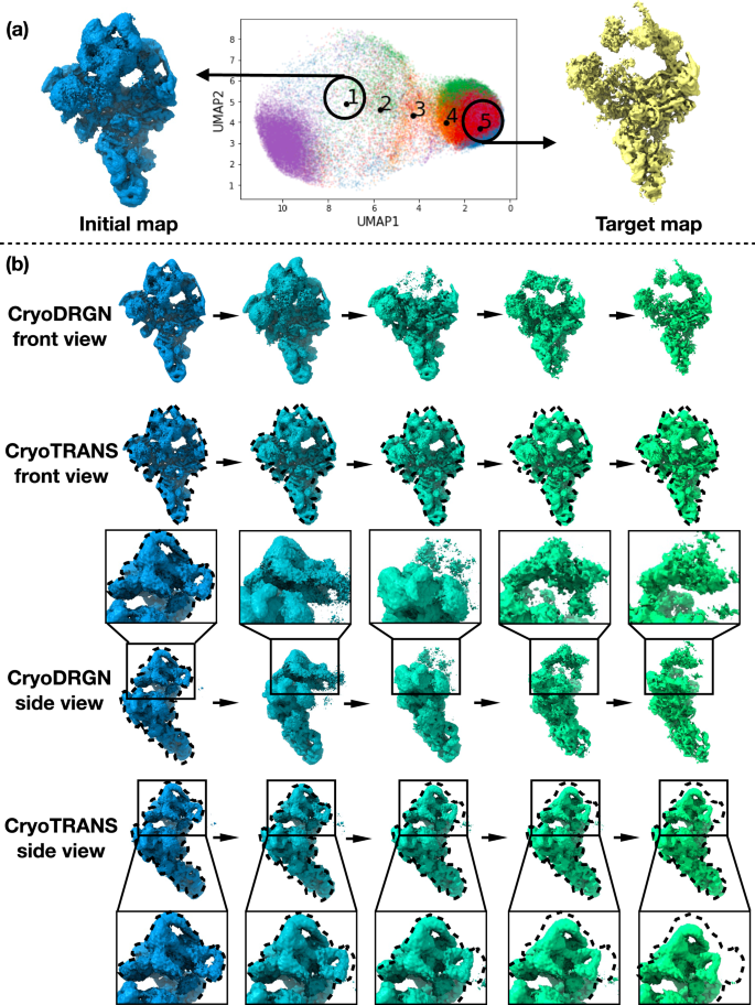 Fig. 5: Comparison of CryoTRANS and CryoDRGN pseudo-trajectories using a pre-catalytic spliceosome dataset.