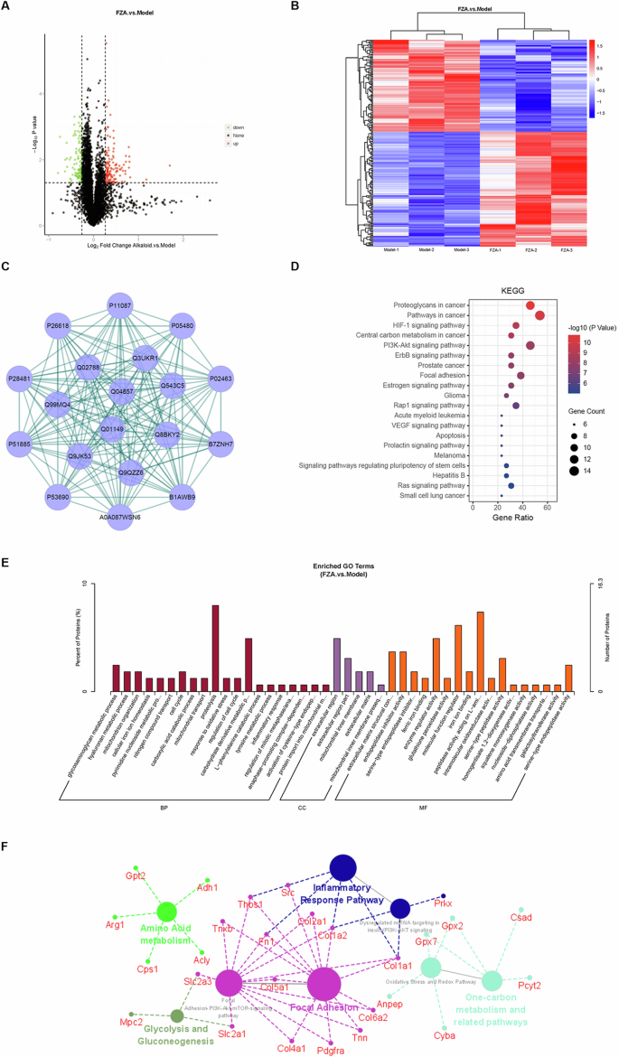 Fig. 3: The mechanism of FZA in treatment of NSCLC was analyzed by TMT-based proteomics.