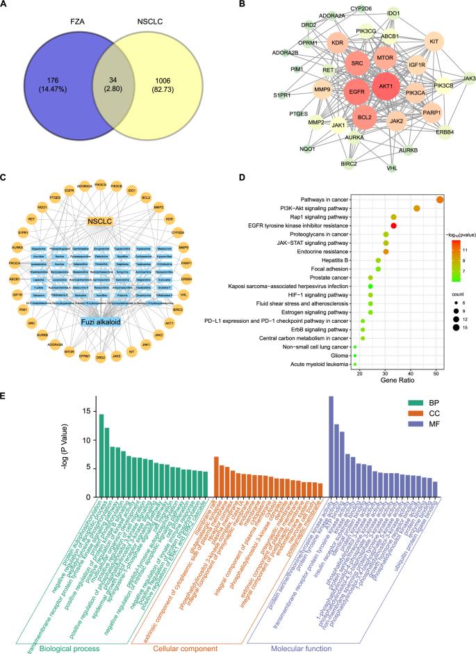 Fig. 6: The mechanism of FZA on NSCLC was predicted by network pharmacology.