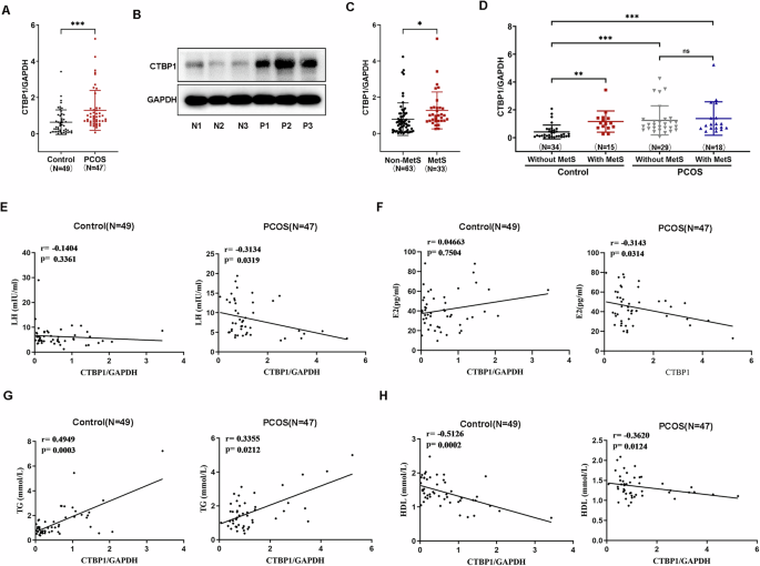 Fig. 1: High expression of CTBP1 is correlated with hormone disturbance, lipid metabolism profile, and embryo quality in PCOS patients.