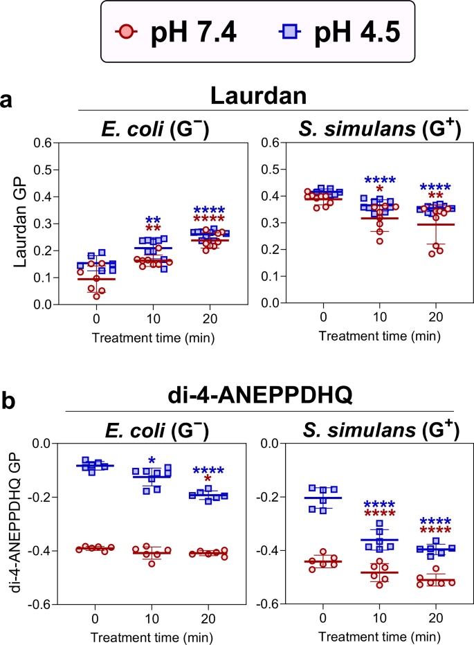 Fig. 3: Membrane packing is altered by CAP.